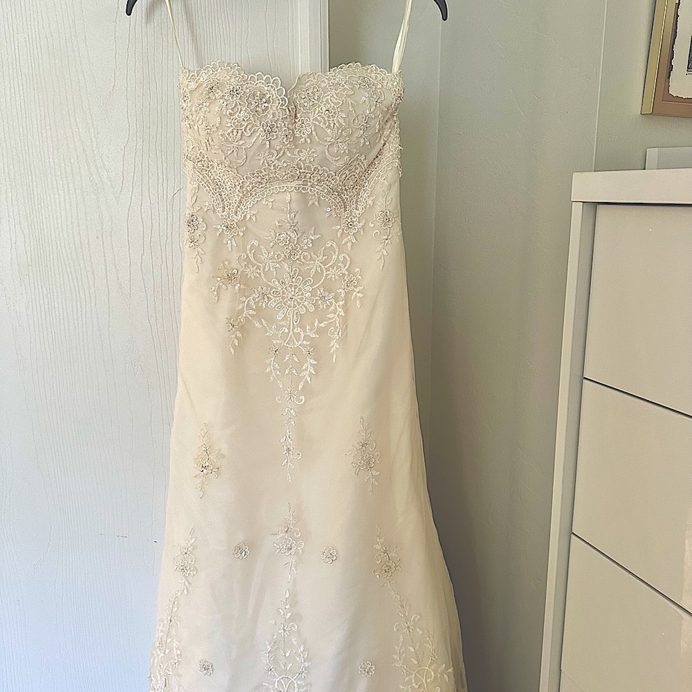 Pronovias La Sposa Wedding Dress
